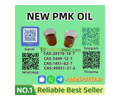 High Purity P.M.K Oil 28578-16-7 for Research