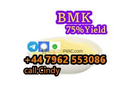 High quality 99% CAS 5449-12-7 BMK Glycidic Acid Sodium Salt Powder