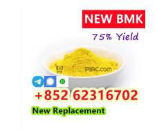 High quality 99% CAS 5449-12-7 BMK Glycidic Acid Sodium Salt Powder