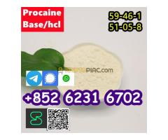 hot sale Procaine base CAS 59-46-1 /51-05-8 / procaine hcl and base in spot stock - Kép 4/5