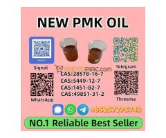 High Purity P.M.K Oil 28578-16-7 Safe Delivery