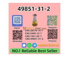 49851-31-2 Trusted Worldwide Supplier