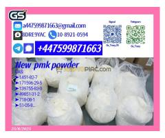 Quality-Assured P.M.K 28578-16-7 B.M.K 5449-12-7 Reliable Provider