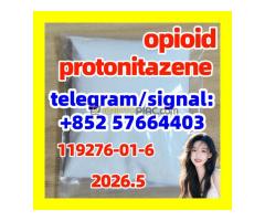 Protonitazene 119276-01-6 opioid  isotonitazene 14188-81-9