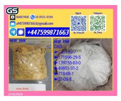 New P.M.K 28578-16-7 B.M.K 5449-12-7 Professional High Purity