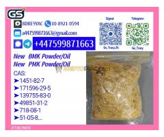 Pharmacopoeia standard grade New P.M.K 28578-16-7 B MK 5449-12-7