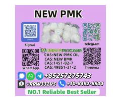 Hot Selling New P.M.K P.ower 28578-16-7 High Quality