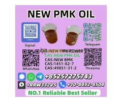 P.M.K Oil 28578-16-7 High Purity
