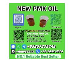 New P.M.K Oil 28578-16-7 Wholesale Hot Sale