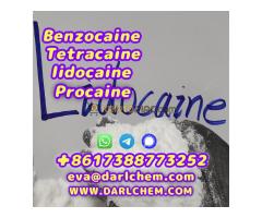 Lidocaine Top Quality Procaine raw Powder