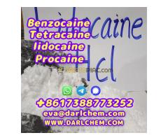 Lidocaine Top Quality Procaine raw Powder