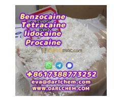 Lidocaine Top Quality Procaine raw Powder