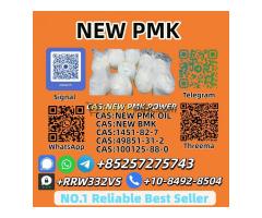 Reliable 28578-16-7 P.M.K P.owder