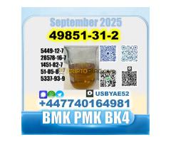 49851-31-2 BVF BK4/2b4m Factory safe delivery - Kép 5/11