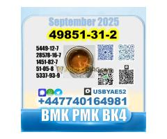 49851-31-2 BVF BK4/2b4m Factory safe delivery - Kép 6/11