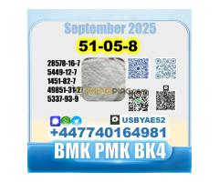 Procaine HCl 51-0-8 bvf bk4/2b4m BMK pmk source factory