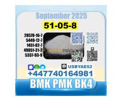 Procaine HCl 51-0-8 bvf bk4/2b4m BMK pmk source factory