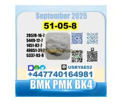 Procaine HCl 51-0-8 bvf bk4/2b4m BMK pmk source factory - Kép 4/12