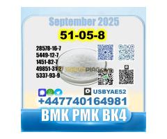 Procaine HCl 51-0-8 bvf bk4/2b4m BMK pmk source factory - Kép 5/12