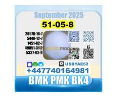Procaine HCl 51-0-8 bvf bk4/2b4m BMK pmk source factory - Kép 6/12