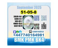 Procaine HCl 51-0-8 bvf bk4/2b4m BMK pmk source factory - Kép 7/12