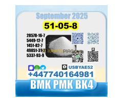 Procaine HCl 51-0-8 bvf bk4/2b4m BMK pmk source factory - Kép 8/12