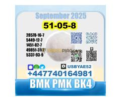 Procaine HCl 51-0-8 bvf bk4/2b4m BMK pmk source factory - Kép 9/12