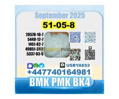 Procaine HCl 51-0-8 bvf bk4/2b4m BMK pmk source factory - Kép 10/12
