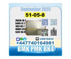 Procaine HCl 51-0-8 bvf bk4/2b4m BMK pmk source factory - Kép 11/12
