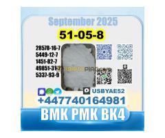 Procaine HCl 51-0-8 bvf bk4/2b4m BMK pmk source factory - Kép 12/12