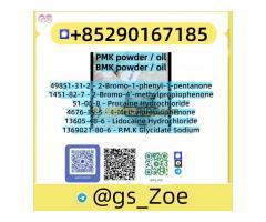 BMK Glycidic Acid (CAS 5449-12-7) - Sodium Salt for Research