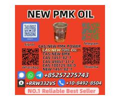 Wholesale  New P.M.K Oil 28578-16-7 Best Price Online