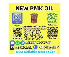 Wholesale New P.M.K Oil 28578-16-7 Global Shipping