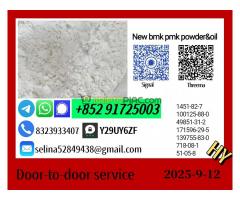 Quality Assured New B.M.K 5449-12-7