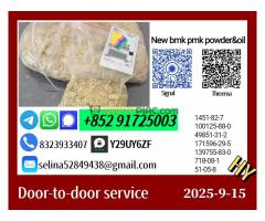 High Customer Satisfaction New 28578-16-7 and 1451-82-7