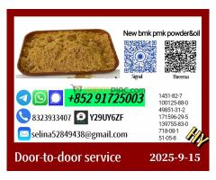 High Customer Satisfaction New B.M.K 5449-12-7 P.M.K 28578-16-7 P.owder