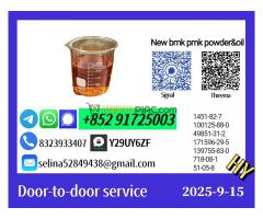 High-Speed Supply New p.m.k Oil 28578-16-7