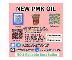 28578-16-7 New P.M.K Oil and 5449-12-7