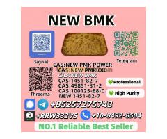 5449-12-7 New B.M.K Power