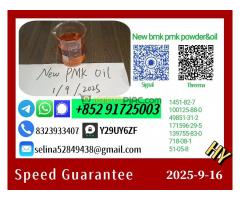 Export Leader P.M.K 28578-16-7 P.owder