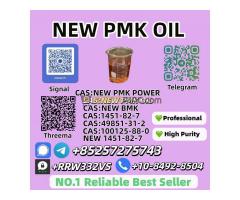 New P.M.K Oil 28578-16-7 and 49851-31-2