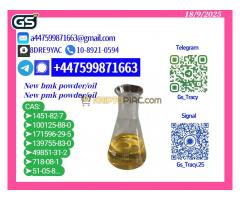 Premium Grade New 28578-16-7 p.m.k
