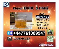 hot sale cas New PMK OIL 28578-16-7,1369021-80-6 - Kép 3/10