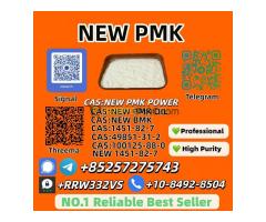 NO.1 Supply New P.M.K 28578-16-7 and 5449-12-7