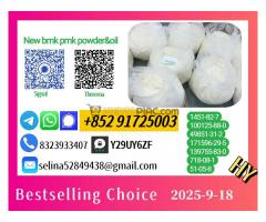 Offering Excellent Products New p m k O il 28578-16-7+ b m k 5449-12-7