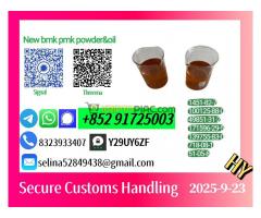 B M K G.lycidate 5449-12-7 Direct Factory Pipeline