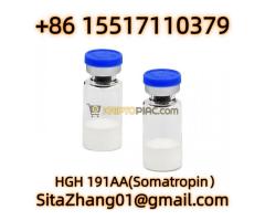 Premium Quality CAS 12629-01-5 GROWTH HORMONE Somatotropin HGH 191AA 10 GEL - Kép 4/10
