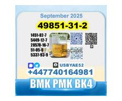 49851-31-2 2-Bromo-1-Phenyl-Pentan-1-One Source factory - Kép 6/12