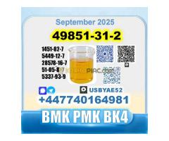 49851-31-2 2-Bromo-1-Phenyl-Pentan-1-One Source factory - Kép 9/12