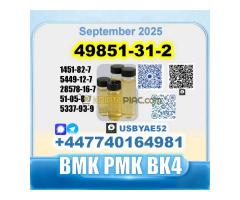 49851-31-2 2-Bromo-1-Phenyl-Pentan-1-One Source factory - Kép 10/12